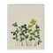 Stupell Industries Hidden Gems Botanicals Framed Giclee, design by Grace Popp